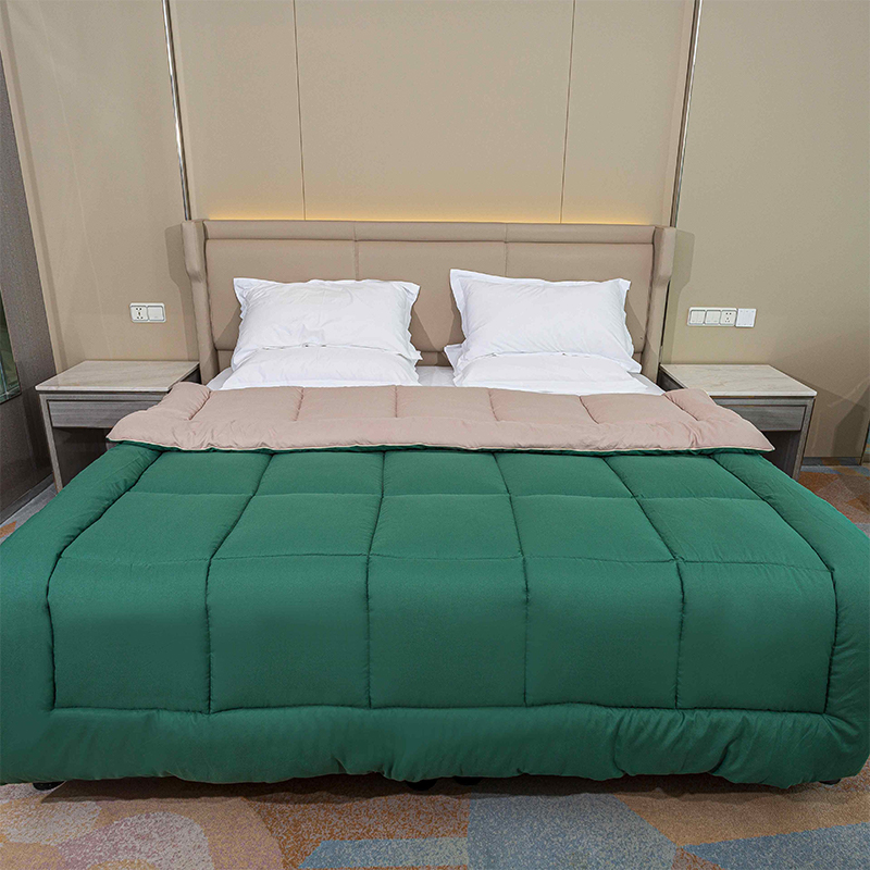Velvet de juego de edredón reversible, ultra suave clima frío de clima frío de lana plush calientes otoño de invierno con 2 simulacros de almohadas